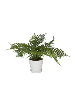 Monroe Lane Sales 36 Promo 🛒 Traditional Plastic Artificial Plant by Monroe Lane 🎁