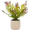 Cheapest 🔔 Contemporary Faux Foliage Artificial Plant by Monroe Lane 🔥