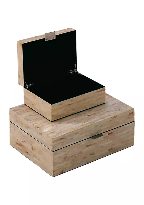 Coupon ✨ Coastal Shell Box - Set of 2 by Monroe Lane ⭐ 2 Coupon ✨ Coastal Shell Box - Set of 2 by Monroe Lane ⭐ - Image 2