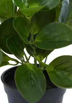 Best deal 😀 Traditional Plastic Artificial Plant by Monroe Lane ⭐ -Monroe Lane Sales Belk 5268