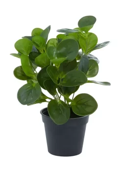 Best deal 😀 Traditional Plastic Artificial Plant by Monroe Lane ⭐ -Monroe Lane Sales Belk 5270