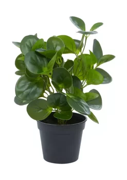 Best deal 😀 Traditional Plastic Artificial Plant by Monroe Lane ⭐ -Monroe Lane Sales Belk 5271
