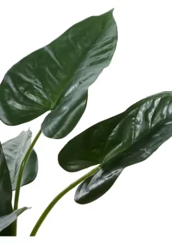 Hot Sale 🔥 Traditional Faux Foliage Artificial Plant by Monroe Lane 🛒 -Monroe Lane Sales Belk 8178