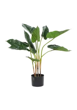Hot Sale 🔥 Traditional Faux Foliage Artificial Plant by Monroe Lane 🛒 -Monroe Lane Sales Belk 8180