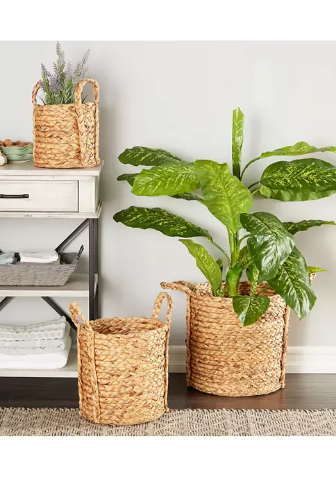 Top 10 🎁 Coastal Dried Plant Storage Basket - Set of 3 by Monroe Lane ⭐ 2 Top 10 🎁 Coastal Dried Plant Storage Basket - Set of 3 by Monroe Lane ⭐ - Image 2